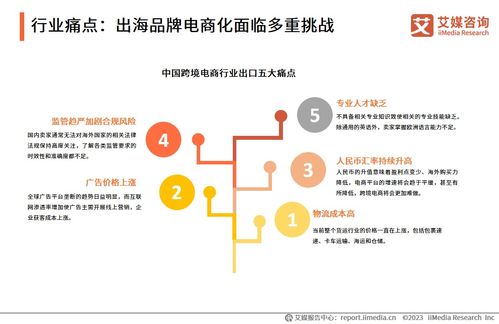 2023年中國(guó)品牌電商服務(wù)行業(yè)深度洞察 信息咨詢服務(wù)賦能品牌新增長(zhǎng)